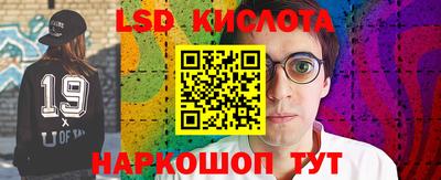 тгк Новозыбков